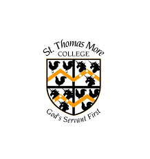 STM Logo